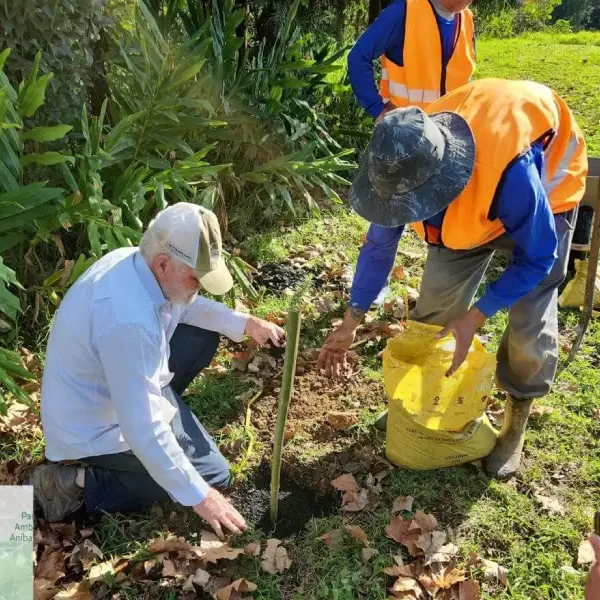 Compensação florestal